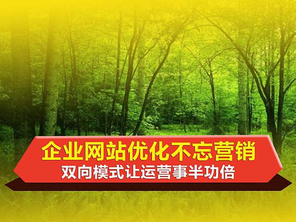 陕西简致科技网络有限公司做网站优化怎么样？　