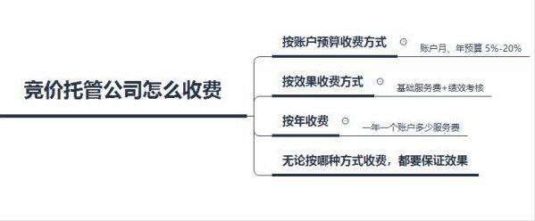 有关竞价托管服务报价的行业标准