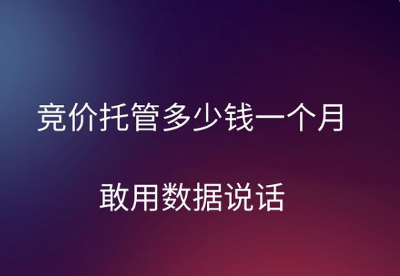 竞价托管公司