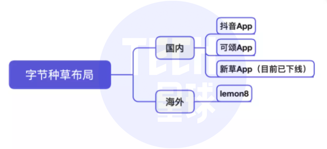 抖音将推独立种草App“可颂”，字节忘不掉小红书？